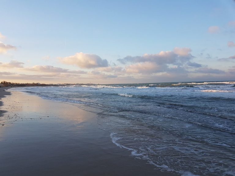 Pesca estiva dalla spiaggia: cosa c’è da sapere?