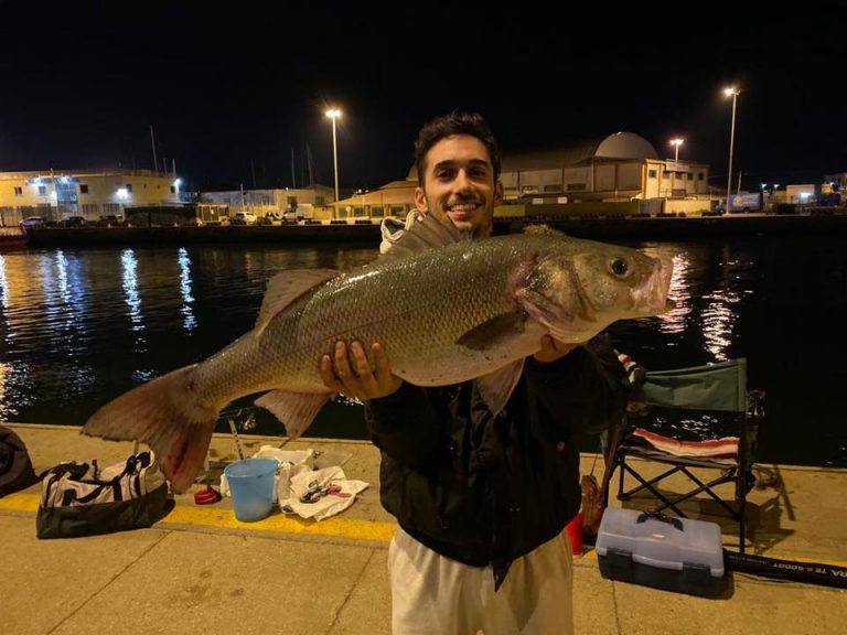 Catturata spigola da record a Fiumicino