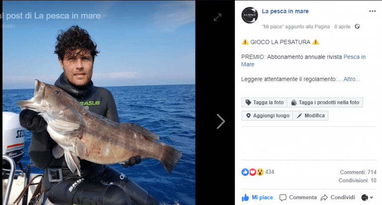 La pesatura: ecco cosa avete scelto