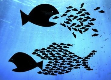 Le considerazioni sul nuovo DPCM per la pesca sportiva e ricreativa