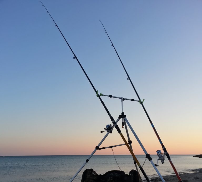 Riapertura della pesca sportiva e ricreativa regione per regione