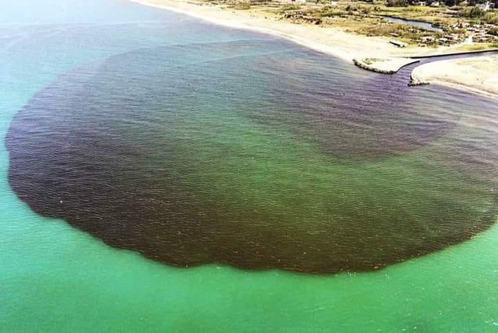 24 ore ed è tornato l’inquinamento ambientale