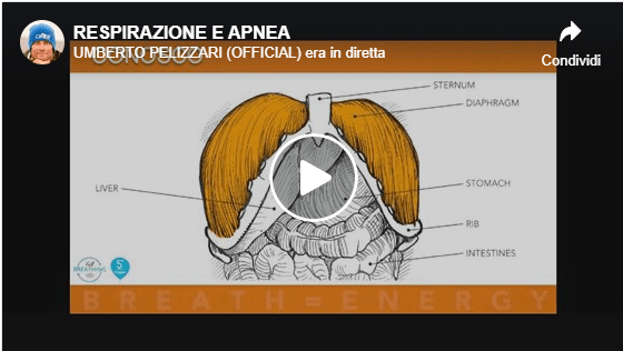 PELIZZARI: respirazione e apnea