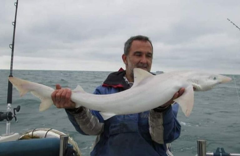 Pescato raro squalo albino in Gran Bretagna