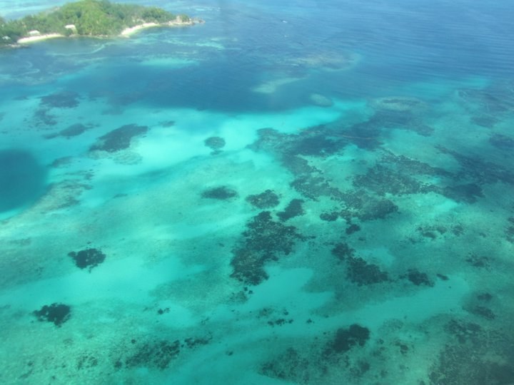 VIAGGI DI PESCA: pescare alle Seychelles