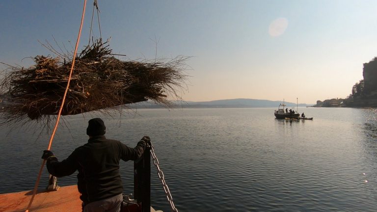 Progetto “Un chilometro di costa”: depositati i primi tre incubatoi