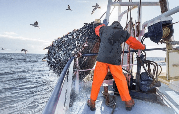 Pesca intensiva: un’attività non più sostenibile