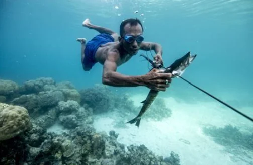 La popolazione dei Bajau Laut tra immersioni e adattamenti genetici