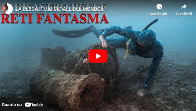 La pesca più micidiale del mondo: la pesca fantasma